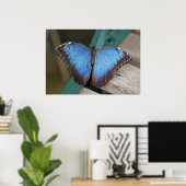 Impression Blue Morpho (Bureau à domicile)