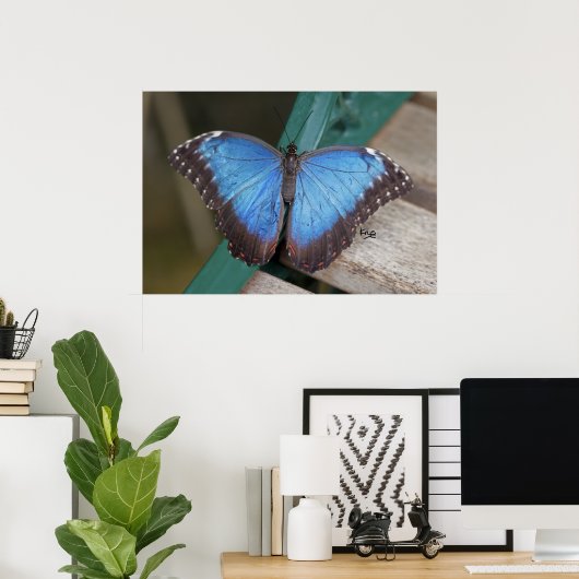 Impression Blue Morpho (Bureau à domicile)