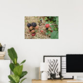 Impression Bonanza de mûres (Bureau à domicile)