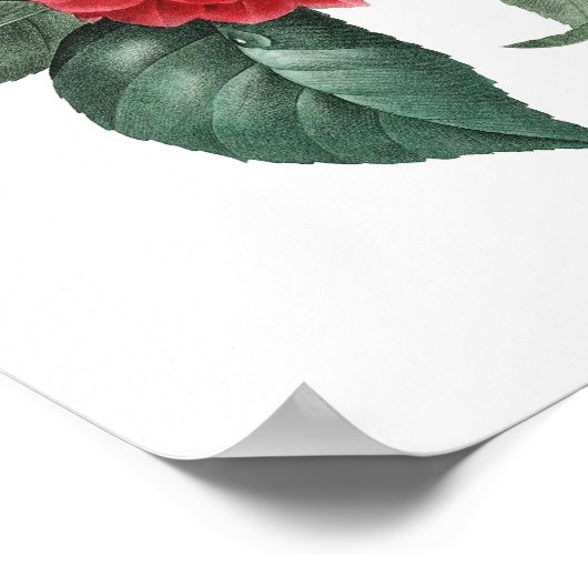 Impression botanique de CAMELIA original par Redou (Coin)