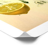 Impression botanique de citron (Coin)