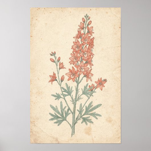 Impression botanique de Delphinium | Étude de fleu (Devant)