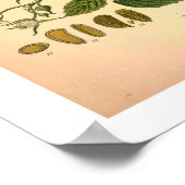 Impression botanique de framboise (Coin)