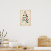 Impression botanique de fuchsia (Cuisine)