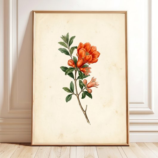 Impression botanique de grenade vintage sur toile