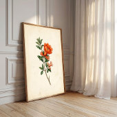 Impression botanique de grenade vintage sur toile