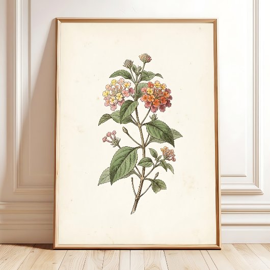 Impression botanique de Lantana Cottagecore
