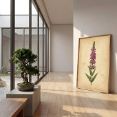 Impression botanique de Lythrum vintage