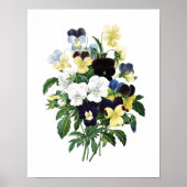 Impression botanique de PANSIES original par Redou (Devant)