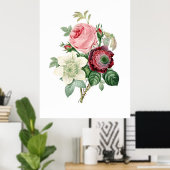 Impression botanique de ROSES originaux par Redout (Bureau à domicile)