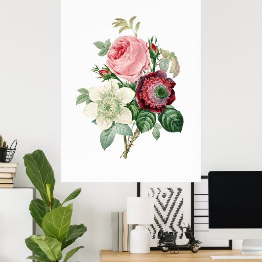 Impression botanique de ROSES originaux par Redout (Bureau à domicile)