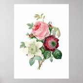 Impression botanique de ROSES originaux par Redout (Devant)