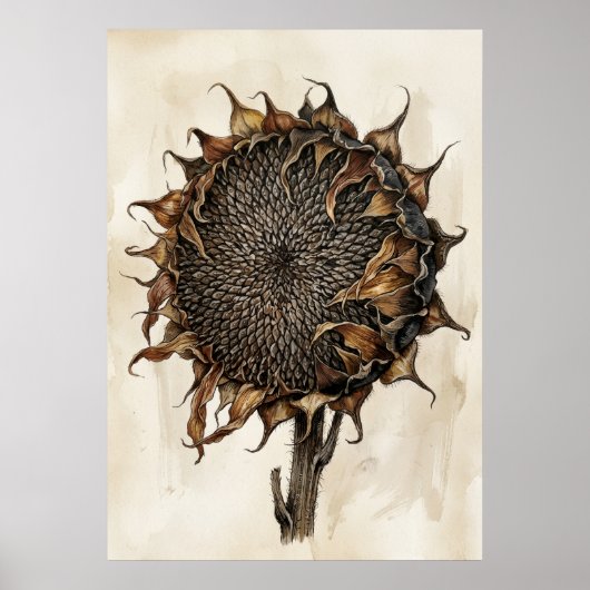 Impression botanique de tournesol séché | Vintage  (Devant)