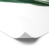 Impression botanique de TULIP original par Redoute (Coin)