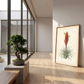 Impression botanique de Vriesea sur toile