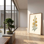 Impression botanique d'Helichrysum Art Print Vinta