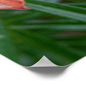 Impression botanique diurne, Photographie canadien (Coin)