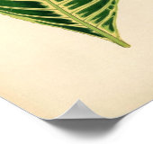 Impression botanique - Feuille tropicale (Coin)