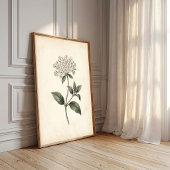 Impression botanique Laurustinus sur toile