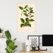 Impression botanique - Mountain & American Holly (Bureau à domicile)