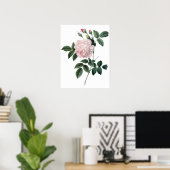 Impression Botanique PREMIUM QUALITY rose (Bureau à domicile)