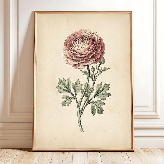 Impression botanique sur toile de Ranunculus
