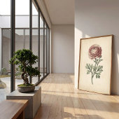 Impression botanique sur toile de Ranunculus