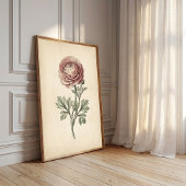 Impression botanique sur toile de Ranunculus