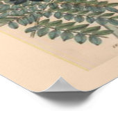 Impression botanique vintage (Coin)