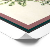 Impression botanique vintage 16x20 (Coin)