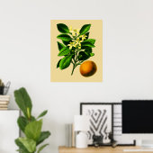 Impression botanique vintage d'orange douce (Bureau à domicile)
