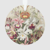 Impression botanique vintage d'orchidée par Ernst (dos)