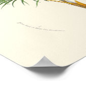 Impression botanique vintage Palm (Coin)