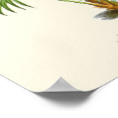 Impression botanique vintage Palm (Coin)