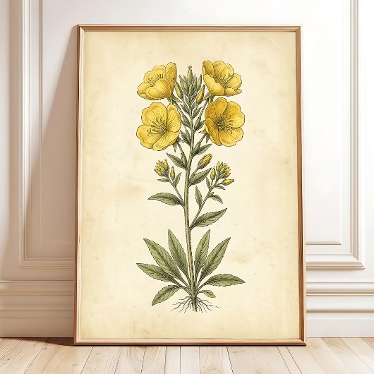 Impression botanique vintage sur papier