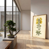 Impression botanique vintage sur papier