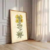 Impression botanique vintage sur papier