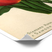 Impression botanique vintage - Tulipes (Coin)