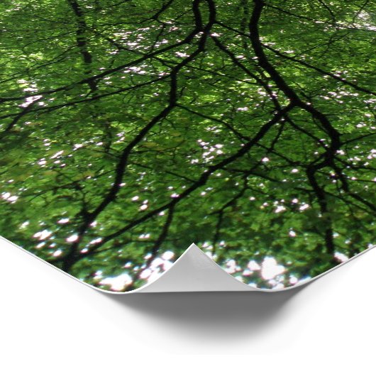 Impression Branches et Feuilles (Coin)