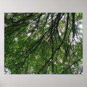 Impression Branches et Feuilles (Devant)