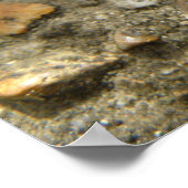 Impression Brown de cricket (Coin)