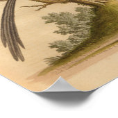 Impression Brown longue queue vintage Bird (Coin)