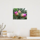 Impression Cactus rose (Cuisine)