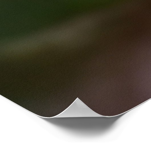 Impression Cactus | Une Fleur de cactus du désert (Coin)