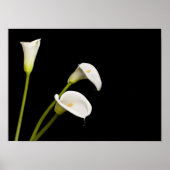 Impression calla (Devant)