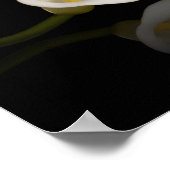 Impression calla lily (Coin)