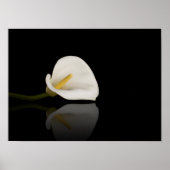 Impression calla lily (Devant)