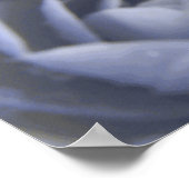 Impression Camellia Frozen Beauty (Coin)