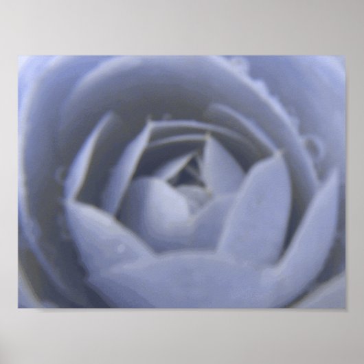 Impression Camellia Frozen Beauty (Devant)