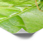 Impression Camouflage de Grillon Vert (Coin)